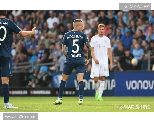 如何查询德甲球队身价及市场价值评估方法