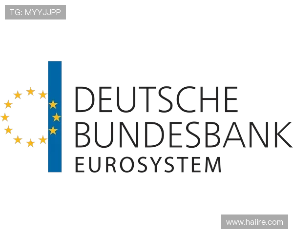 德甲球队公司化运作模式与组织架构解析